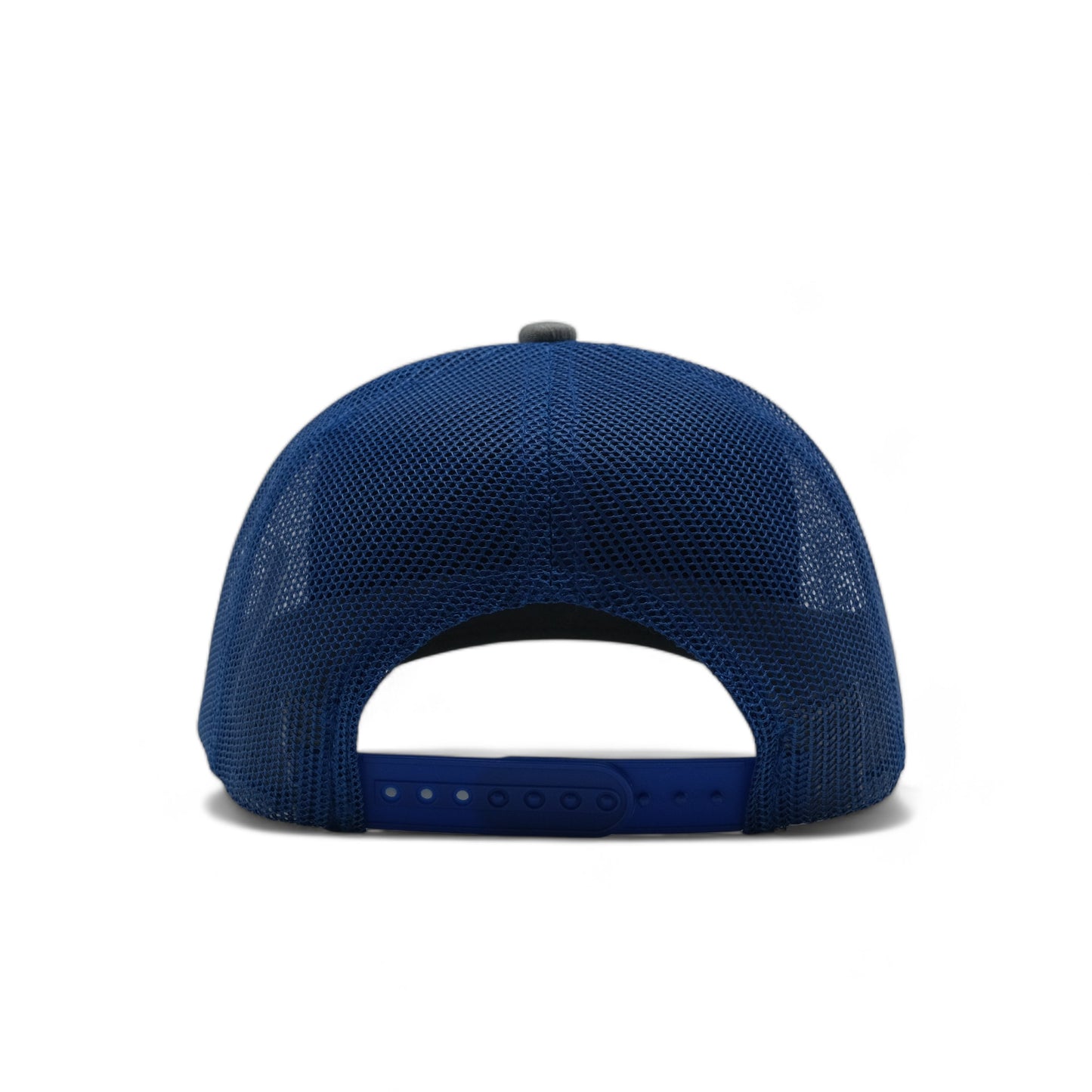 PLAIN CURVE 6PANEL MESH - P6M