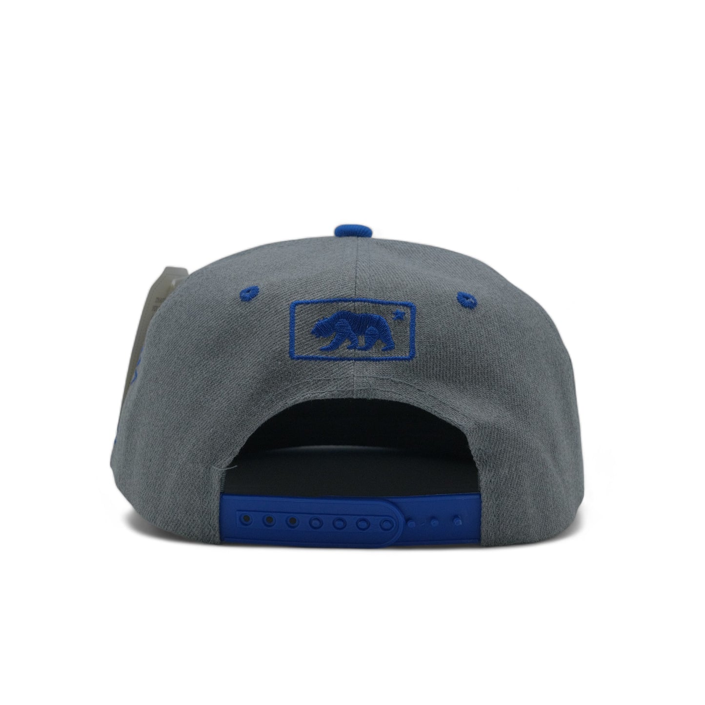 BEAR SNAPBACK - DS01