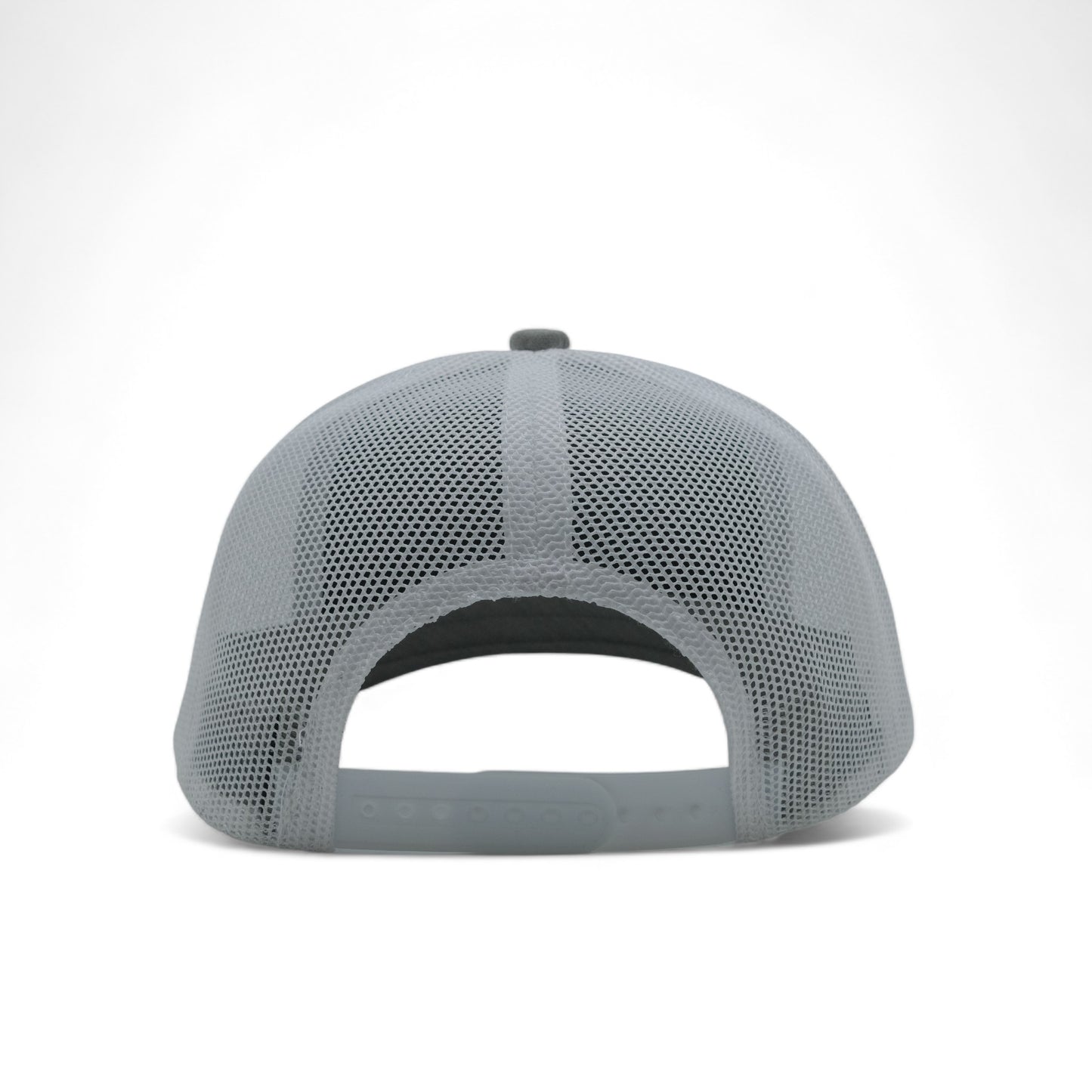 PLAIN CURVE 6PANEL MESH - P6M