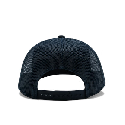 PLAIN CURVE 6PANEL MESH - P6M