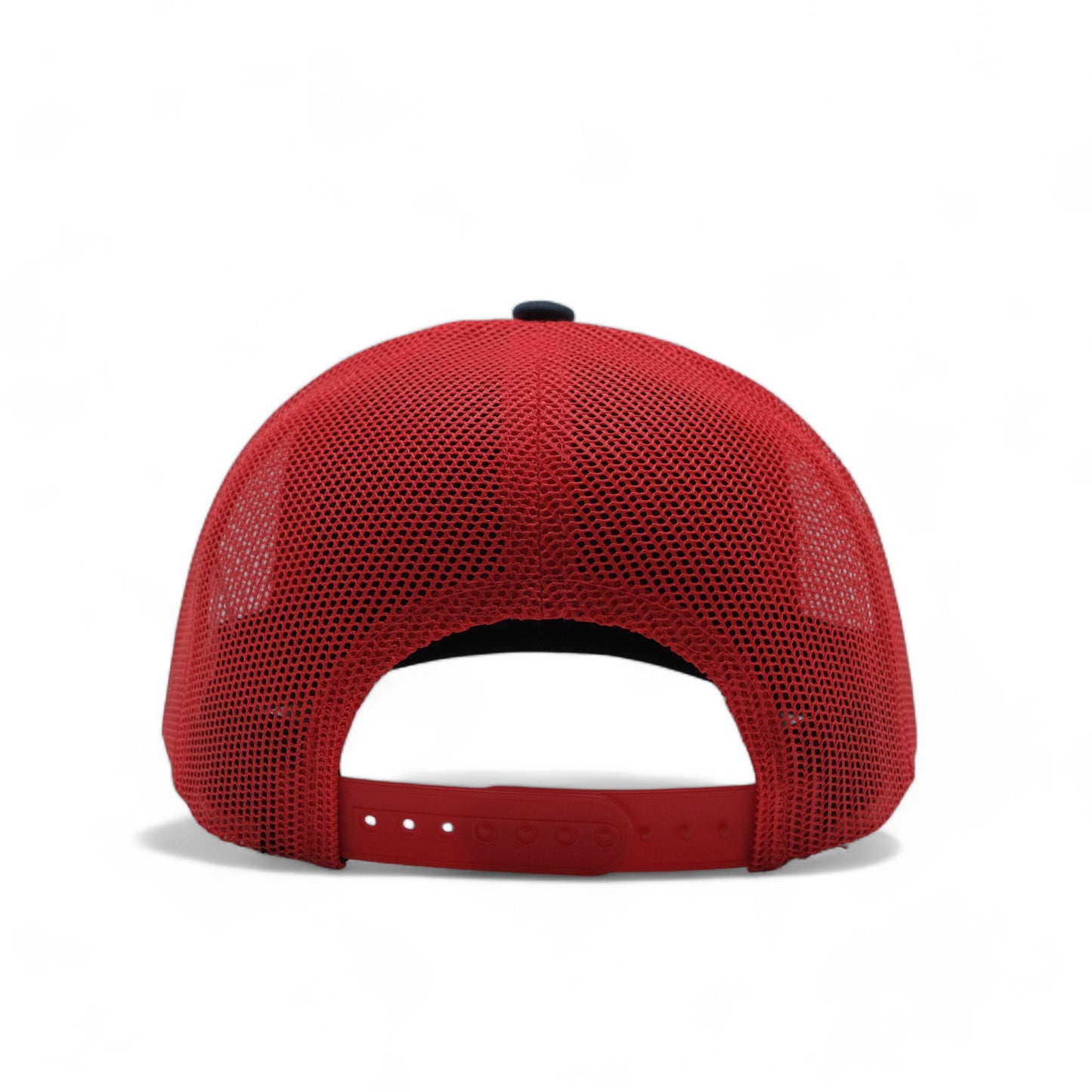 PLAIN CURVE 6PANEL MESH - P6M