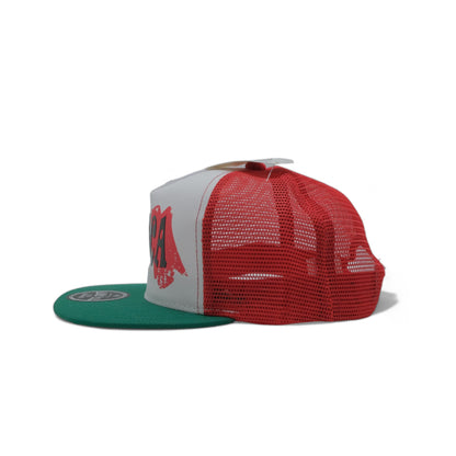 FLAT MEXICO PRINT SNAPBACK - DS07