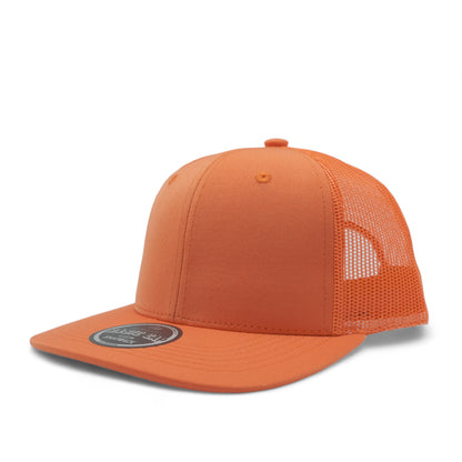 PLAIN CURVE 6PANEL MESH - P6M