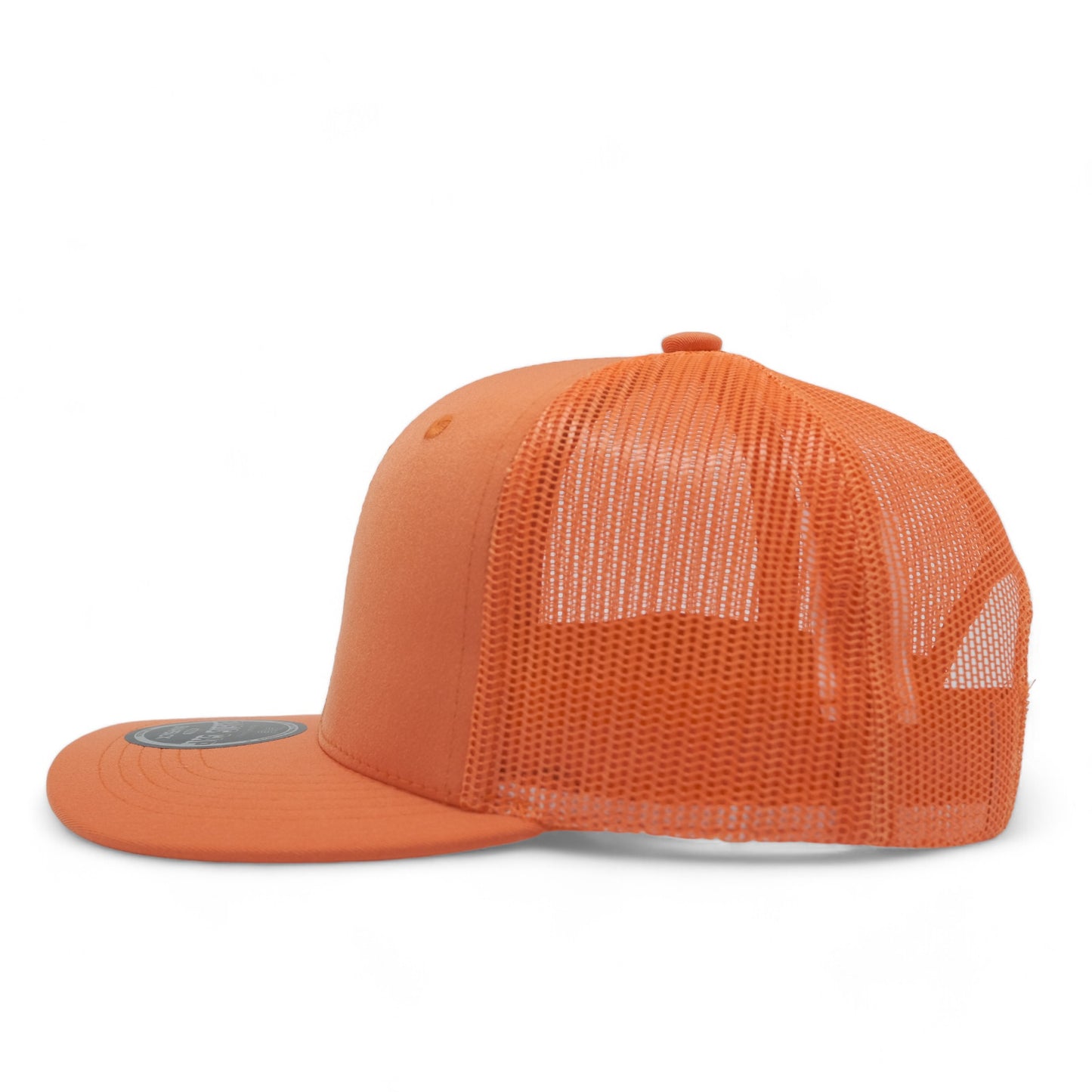 PLAIN CURVE 6PANEL MESH - P6M