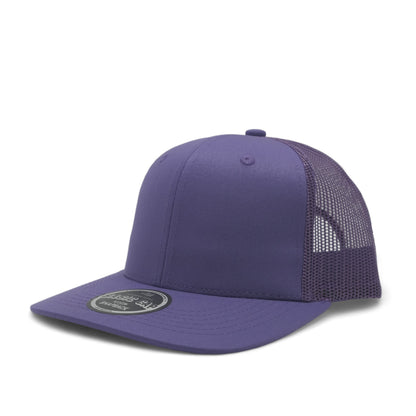 PLAIN CURVE 6PANEL MESH - P6M