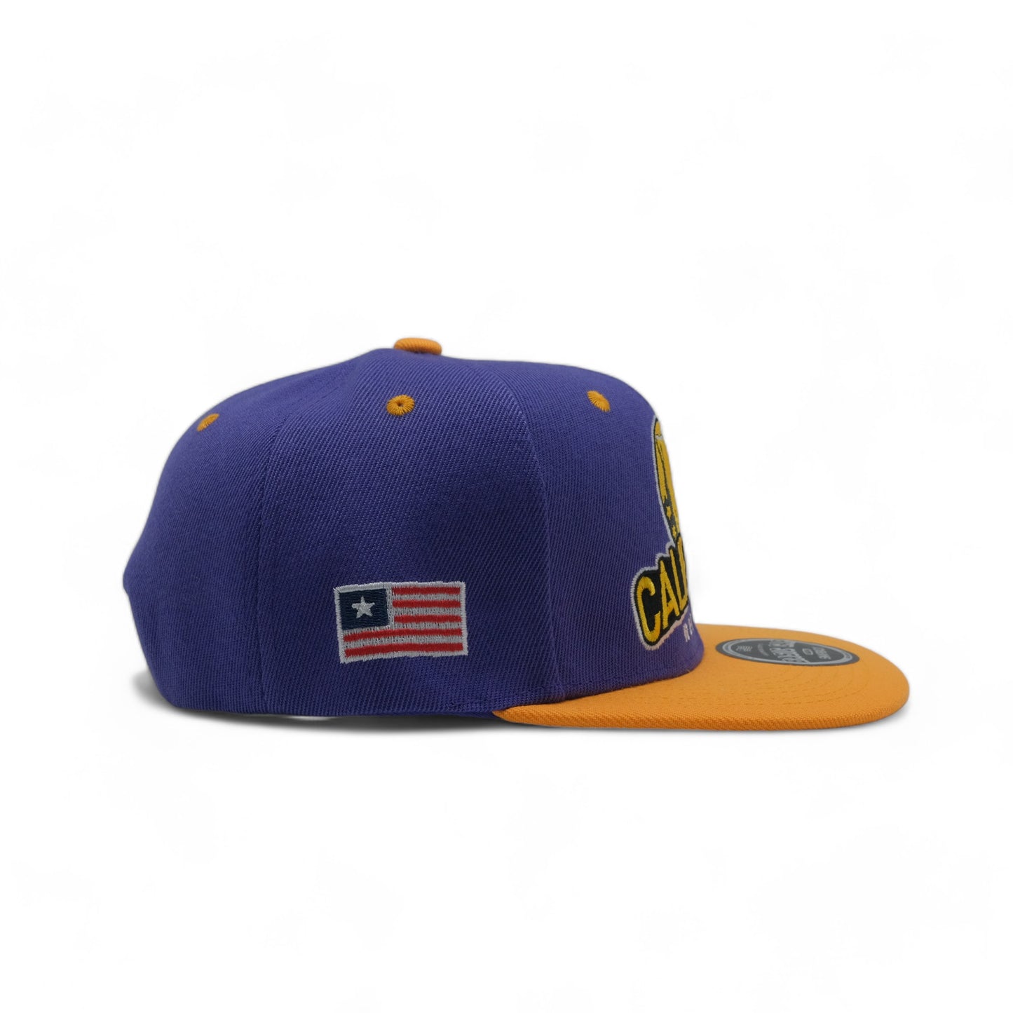 CALIFORNIA SNAPBACK - 2(DS03)