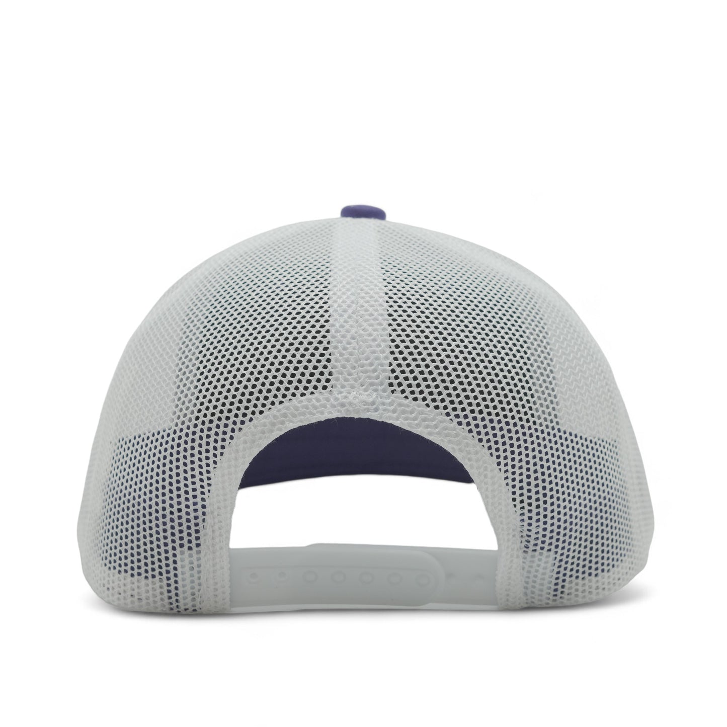 PLAIN CURVE 6PANEL MESH - P6M