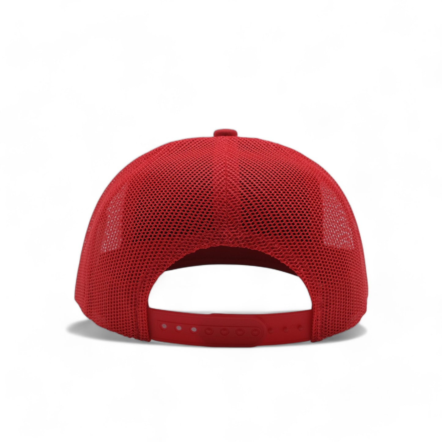 PLAIN CURVE 6PANEL MESH - P6M