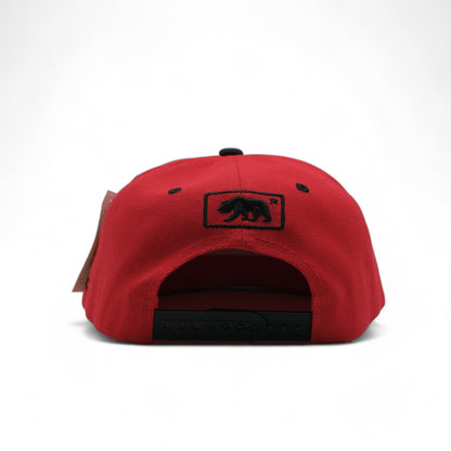 BEAR SNAPBACK - DS01