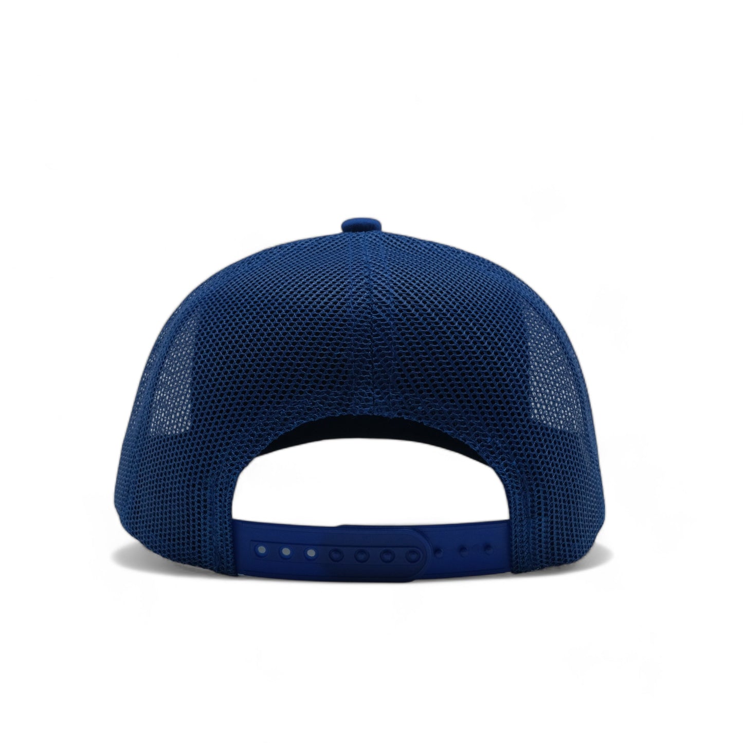 PLAIN CURVE 6PANEL MESH - P6M