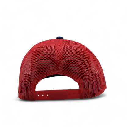 PLAIN CURVE 6PANEL MESH - P6M