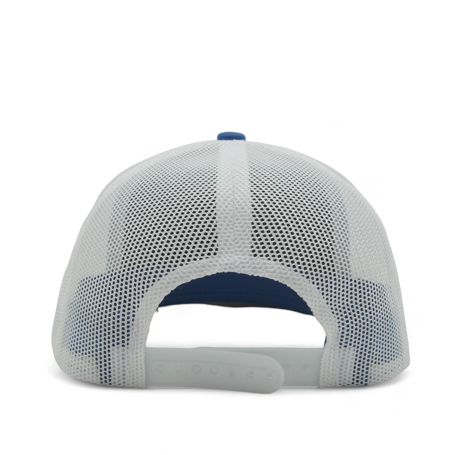 PLAIN CURVE 6PANEL MESH - P6M