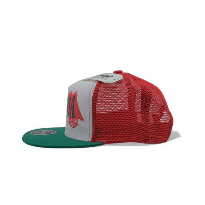 FLAT MEXICO PRINT SNAPBACK - DS07