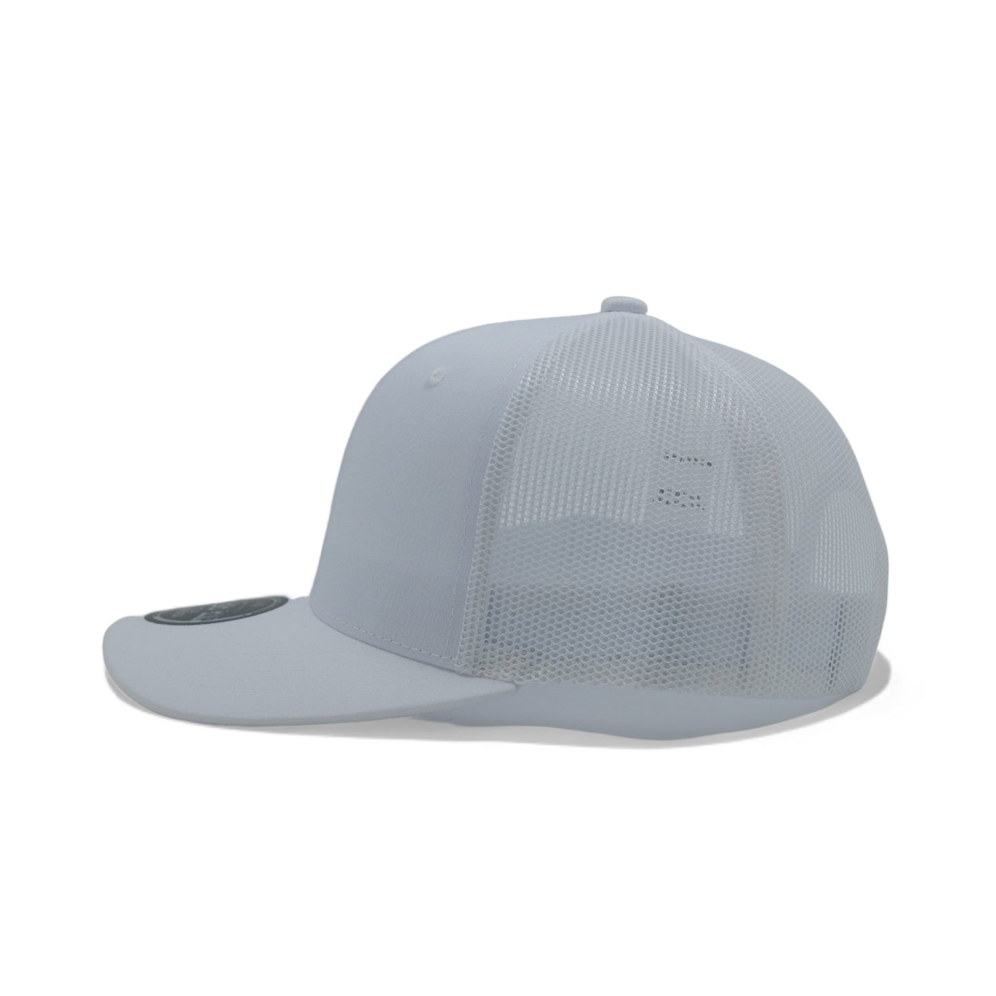 PLAIN CURVE 6PANEL MESH - P6M